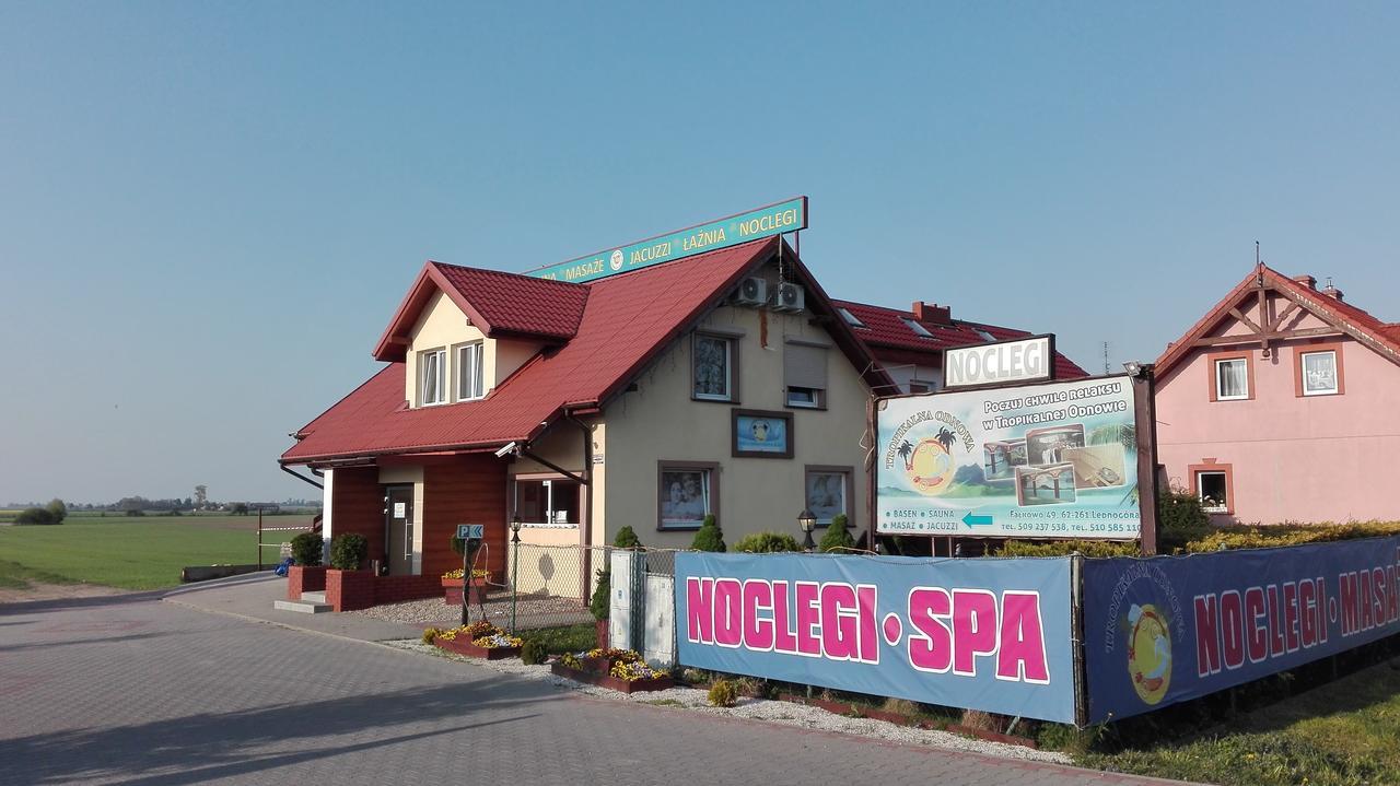 Tropikalna Odnowa Bed & Breakfast Falkowo Luaran gambar